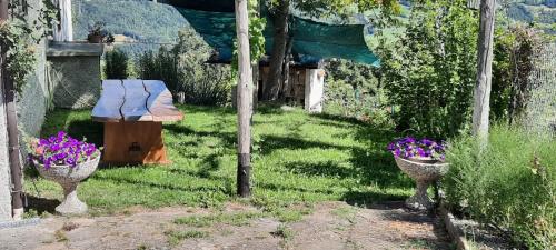 Κήπος έξω από το Casa Tonacchiolo