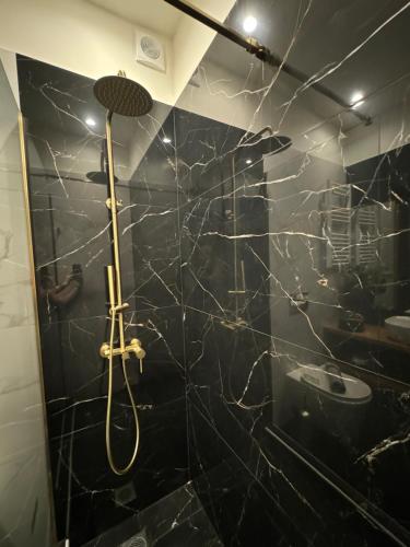 a bathroom with a shower with a black tiled wall at R&G luxury accommodation Varkiza in Vari