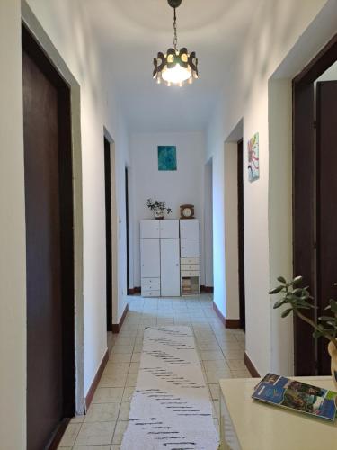 Gambar di galeri bagi Apartman Maki di Dubravica