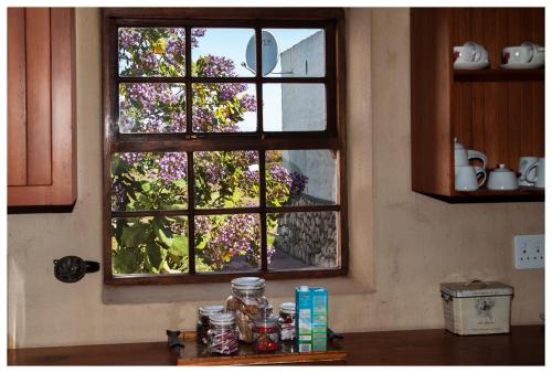 a window in a kitchen looking out at a garden at Thali Thali Game Lodge in Langebaan