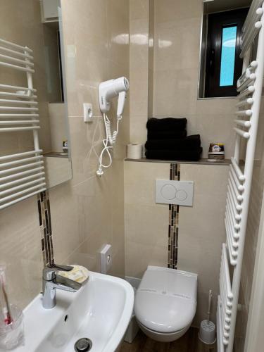 a bathroom with a white toilet and a sink at Hotel zu den Burgen in Kamp-Bornhofen