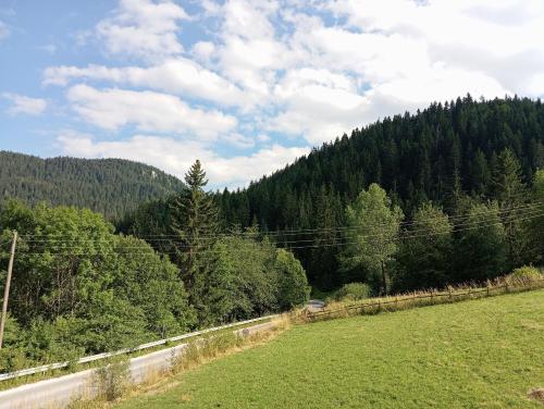 a field next to a road with a forest at Planinska Kuca "KABLAR" Jahorina in Ćetinište