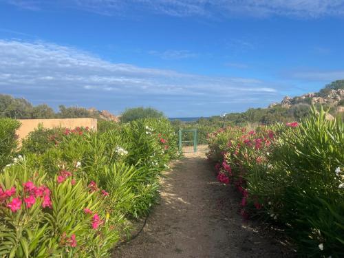 Fotografie z fotogalerie ubytování Villetta a schiera in paradiso v destinaci Isola Rossa