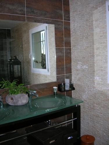 une salle de bain avec un lavabo vert et un miroir dans l'établissement Le GITE à JP, à Montgaillard