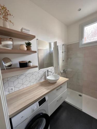 ein Badezimmer mit Waschmaschine und Waschbecken in der Unterkunft Appartement cœur de ville in La Flèche