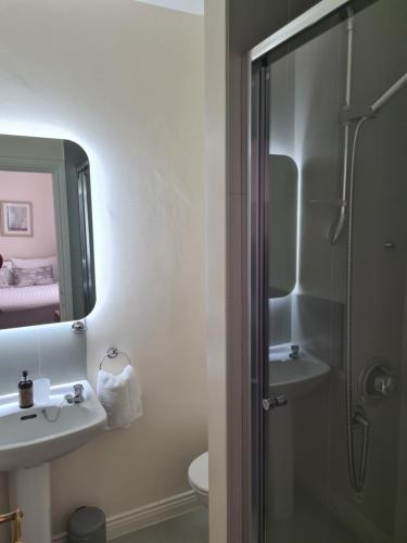 Salle de bains dans l'établissement Blackrock Carole Ville Guesthouse