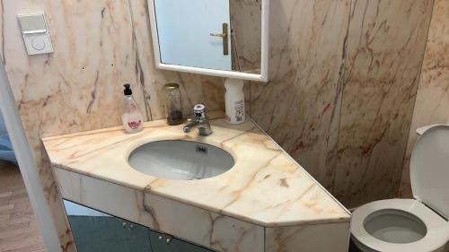 bagno con lavabo in marmo e servizi igienici. di La Vivaraize a Saint-Étienne