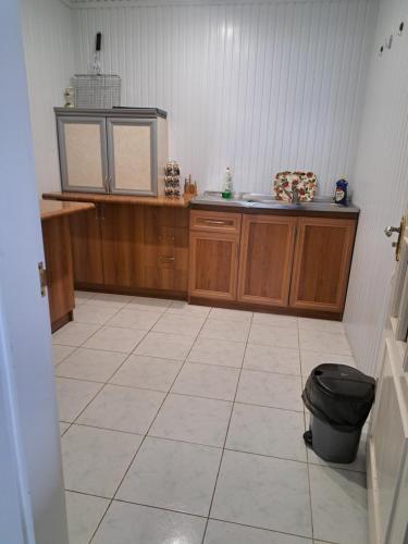 セヴァンにあるSevan Family Houseのシンクとカウンタートップのあるキッチン