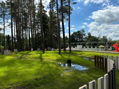 a yard with a puddle of water in the grass at Witómë Kaszubskie Siedlisko in Załakowo