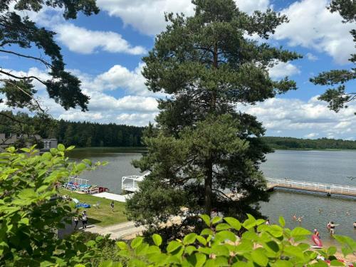 a view of a lake with people on a dock at Witómë Kaszubskie Siedlisko in Załakowo