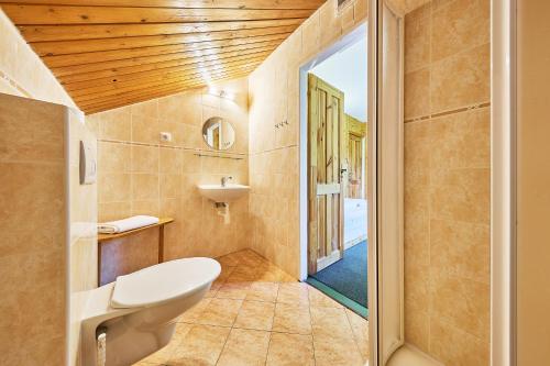 a bathroom with a toilet and a sink at Modrokamenná bouda in Janske Lazne
