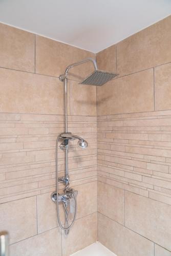 a shower with a shower head in a bathroom at Goldenescape 6P Vip huis met Royale tuin en hottub 110 in Ewijk