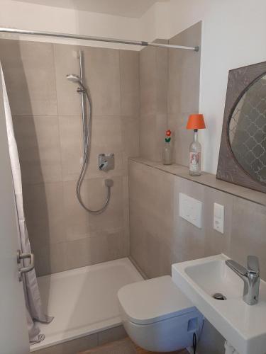 a bathroom with a shower and a toilet and a sink at Mosel statt Mallorca in Mesenich