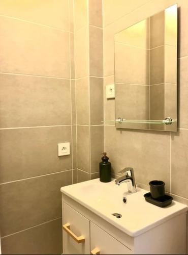 une salle de bain avec un lavabo et un miroir dans l'établissement RM-2 - Appartement F2 au 2ème étage pour 1-3 pers, à Mulhouse