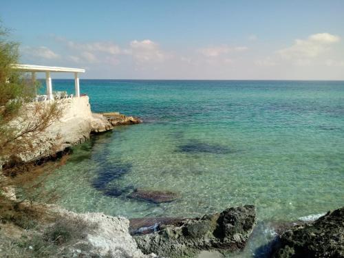 Φυσικό τοπίο κοντά σε αυτό το διαμέρισμα