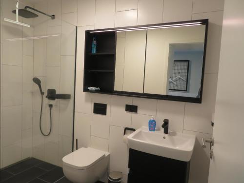 a bathroom with a sink and a toilet and a mirror at Hotelapartment Meerliebe in Cuxhaven