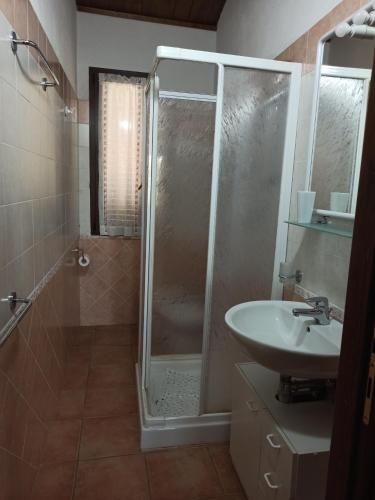 a bathroom with a shower and a sink at Agriturismo Il Sughereto - Appartamento Cattleya in Podere Caminino