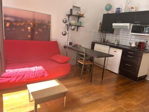 Η κουζίνα ή μικρή κουζίνα στο Studio de charme 20m2 à Saint-Mandé