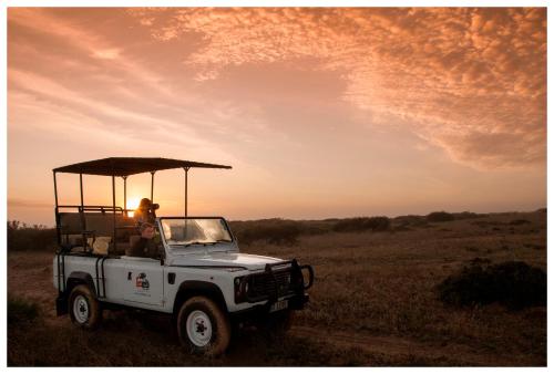 a white jeep parked in the middle of a field at Thali Thali Game Lodge in Langebaan