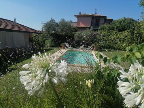 a garden with white flowers and a swimming pool at Affitti Brevi Toscana - Villa Simple in Fonteblanda