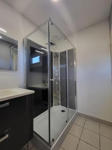 une douche en verre dans une salle de bain avec un lavabo dans l'établissement La petite Landaise, à Sanguinet