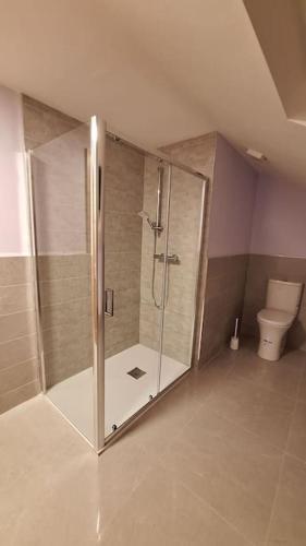 a bathroom with a shower and a toilet at Ballnamona house in Cong
