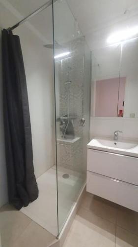 une salle de bain avec une douche en verre et un lavabo dans l'établissement 1er ligne piscine au couchant, à La Grande Motte