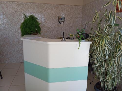 a bathroom with a sink with plants on it at Pousada Piri carvalho in Pirenópolis