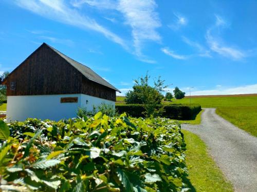 a barn and a road next to a field at Apartmány Slavíkov - Simple Suite in Horní Radechová