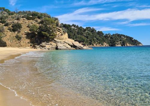 plaża z oceanem i drzewami na wzgórzu w obiekcie T2 rez de jardins w mieście Cavalaire-sur-Mer