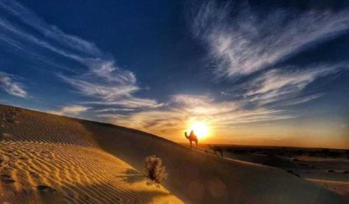 a person standing on top of a sand dune at Desert Dream Royal Camp & Pool in Jaisalmer