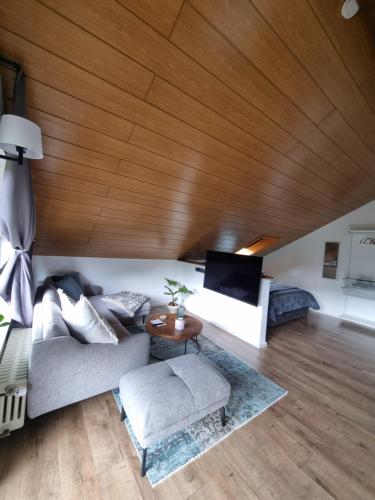 - un salon avec un plafond en bois dans l'établissement Miu's Roof, à Alpirsbach