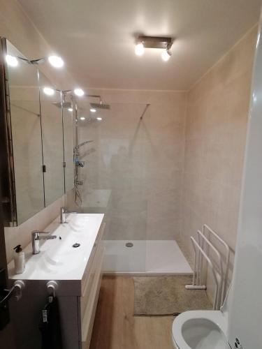 une salle de bain avec un lavabo, une douche et des toilettes dans l'établissement Idéalement placé ,tout a pied ,parking, à Six-Fours-les-Plages