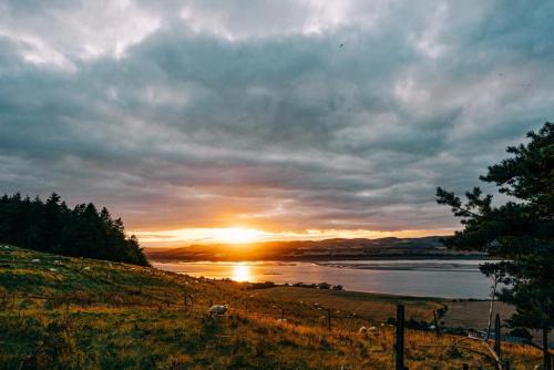 a sunset over a body of water with sheep in a field at Luxurious Snug with hottub which sleeps-2 in Fife in Newburgh