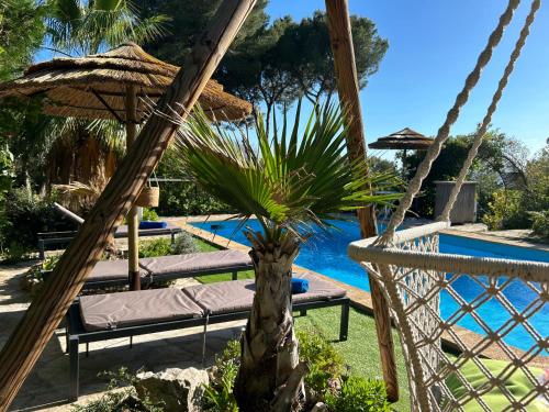 une balançoire avec un palmier et une piscine dans l'établissement le lodge Saint Clair, à Sète