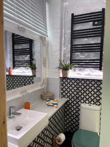 The Barbican View في بلايموث: حمام مع حوض ومرحاض ومرآة