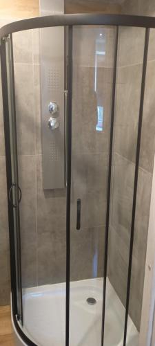 斯维诺乌伊希切Studio Robi 18m2的浴室里有玻璃门的淋浴间
