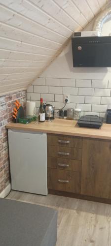 斯维诺乌伊希切Studio Robi 18m2的一个带柜台和水槽的厨房