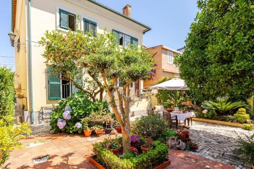 Studio & Garden
