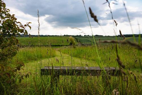 a wooden bench sitting in a field of tall grass at Kite Lodge in Little Bytham