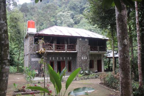 a building in the middle of a forest at Rinte Green Village & Bukit Lawang Jungle Trekking in Bukit Lawang