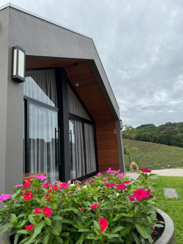 Κήπος έξω από το CABANAS LE VIGNE