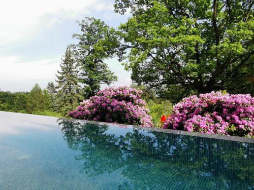 Piscina en o cerca de Green Park Resort APARTAMENT B9 Basen, Sauna, Jacuzzi, Siłownia, Widok