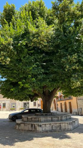 Φωτογραφία από το άλμπουμ του Appartamenti Rocchesi σε Rocca San Felice