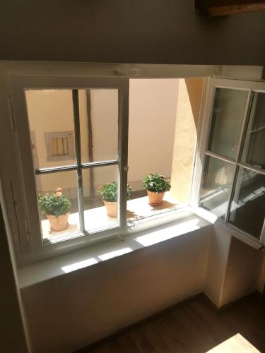 three potted plants sitting on a window sill at La Bergerie in La Neuveville
