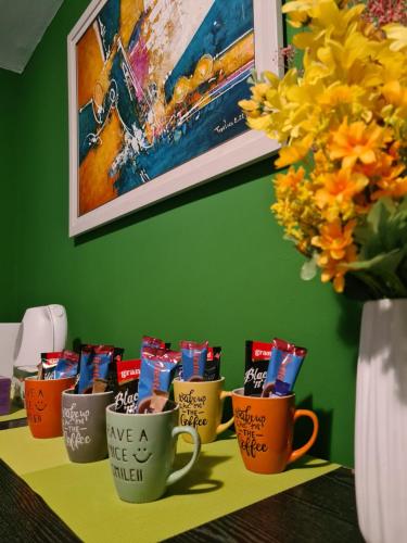 Kaffee-/Teezubehör in der Unterkunft Veljanov Apartment 1