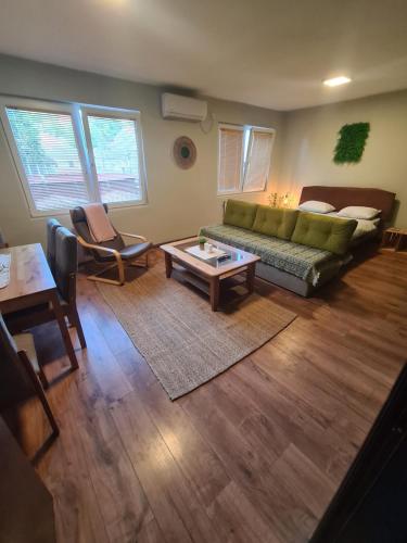 ein Wohnzimmer mit einer Couch und einem Couchtisch in der Unterkunft Veljanov Apartment 1 in Negotino