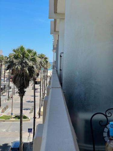 grand studio de 28 m2 plein centre de Canet plage