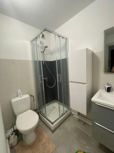 une salle de bain avec une douche, des toilettes et un lavabo dans l'établissement grand studio de 28 m2 plein centre de Canet plage, à Canet