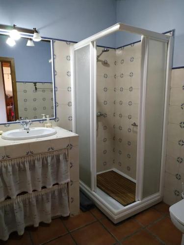 a bathroom with a shower and a sink at La casita de Duratón in Duratón